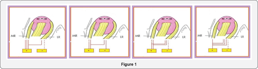 Click here to view Large figure 1