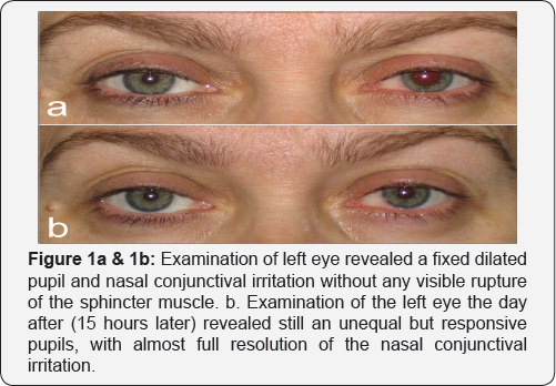 Click here to view Large Figure 1