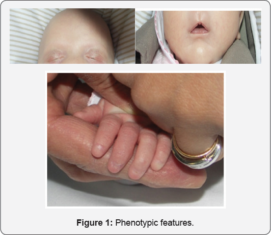 Click here to view Large Figure 1