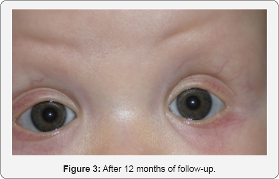 Click here to view Large Figure 3