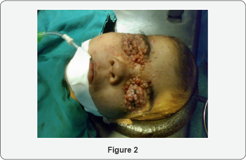 Click here to view Large Figure 2