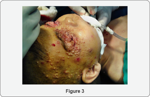 Click here to view Large Figure 3