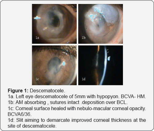 Click here to view Large Figure 1