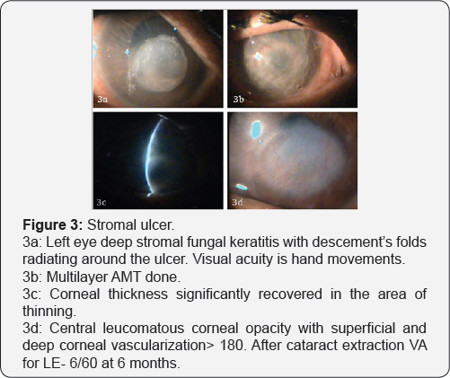 Click here to view Large Figure 3