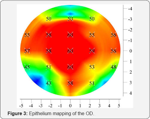 Click here to view Large Figure 3