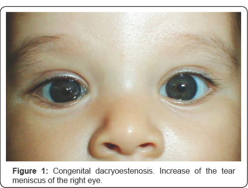 Click here to view Large Figure 1