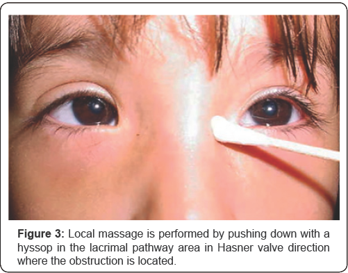 Click here to view Large Figure 3