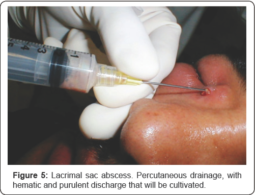 Click here to view Large Figure 5