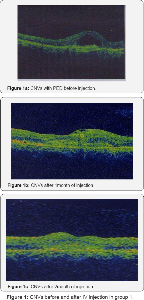 Click here to view Large Figure 1