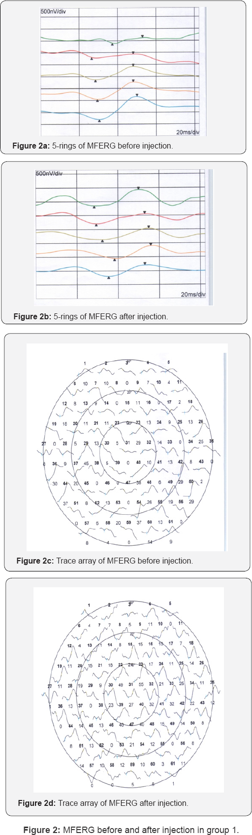 Click here to view Large Figure 1