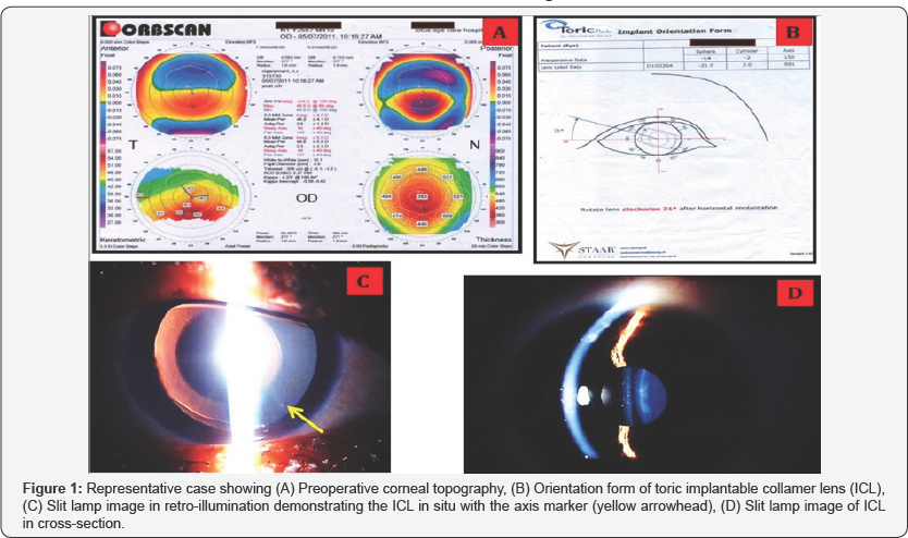 Click here to view Large Figure 1