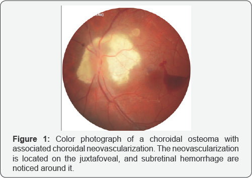 Click here to view Large Figure 1