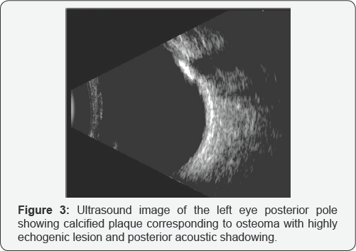 Click here to view Large Figure 3