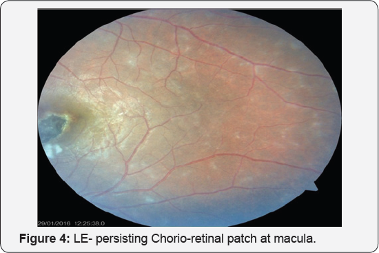 Click here to view Large Figure 1