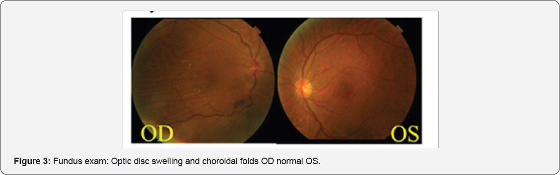 Click here to view Large Figure 1