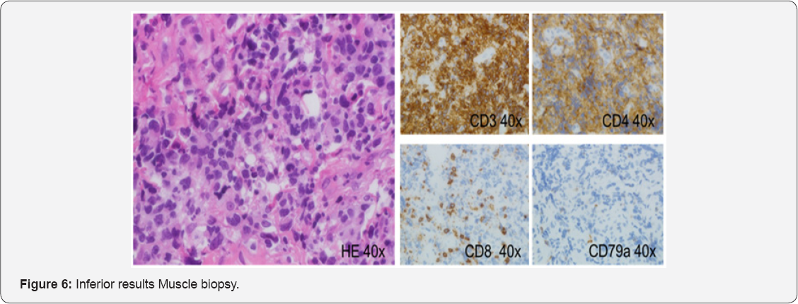 Click here to view Large Figure 1