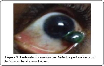 Click here to view Large Figure 1