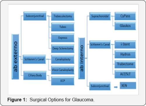 Click here to view Large Figure 1