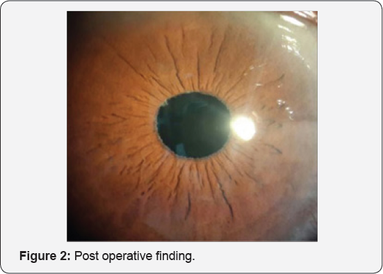 Click here to view Large Figure 2