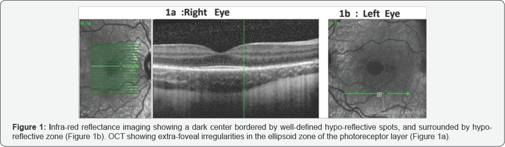 Click here to view Large Figure 1