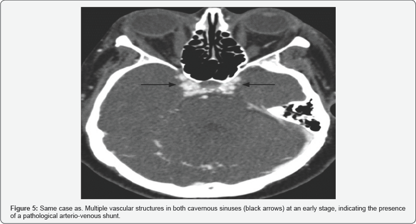 Click here to view Large Figure 5