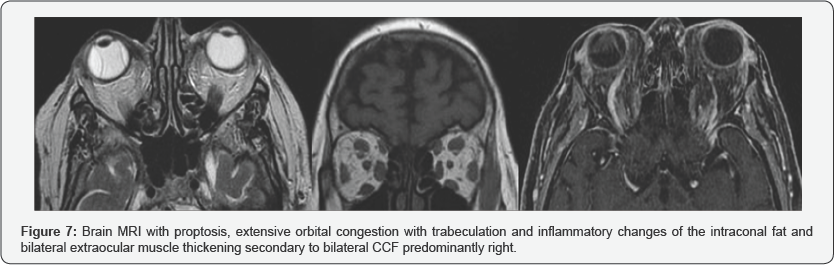 Click here to view Large Figure 7
