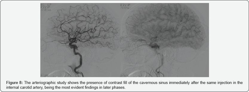 Click here to view Large Figure 8