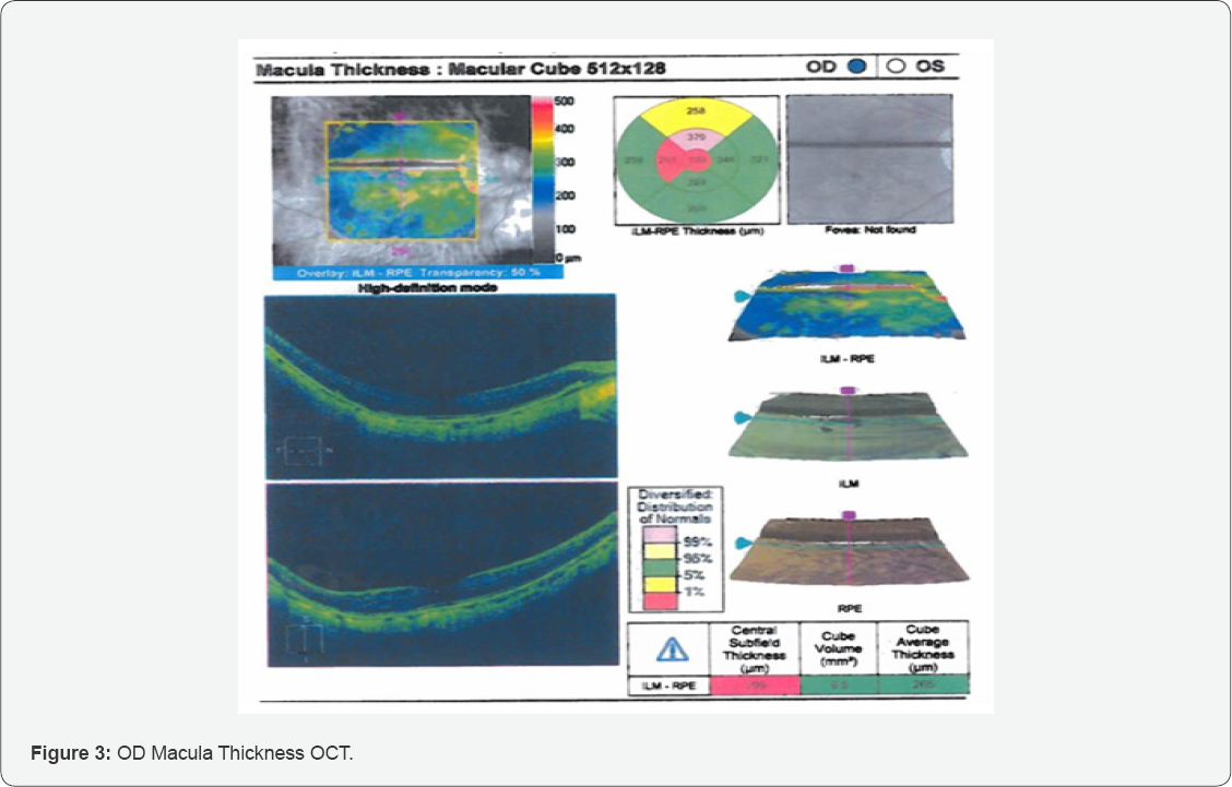 Click here to view Large Figure 3