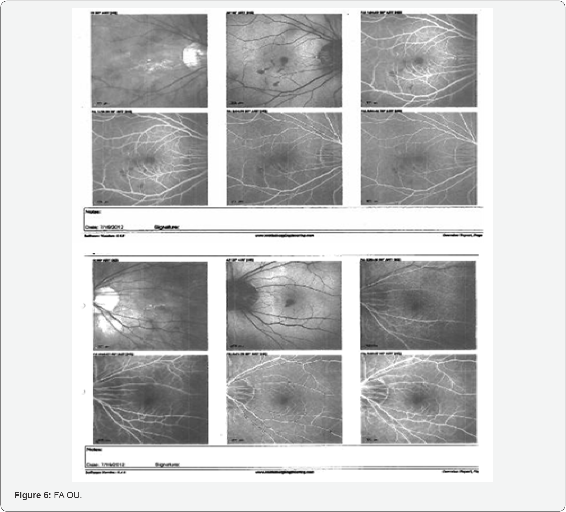 Click here to view Large Figure 6