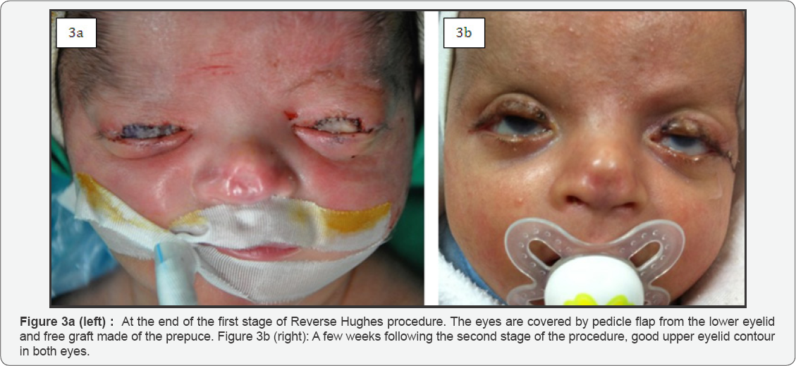 Click here to view Large Figure 3