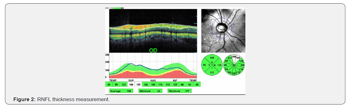 Click here to view Large Figure 2