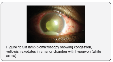 Click here to view Large Figure 1