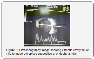 Click here to view Large Figure 3
