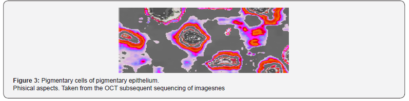 Click here to view Large Figure 3
