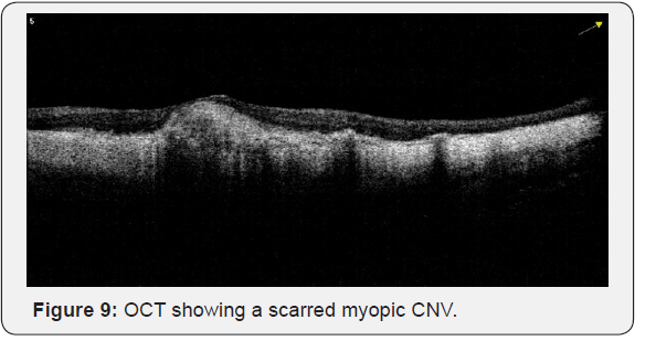 Click here to view Large Figure 9