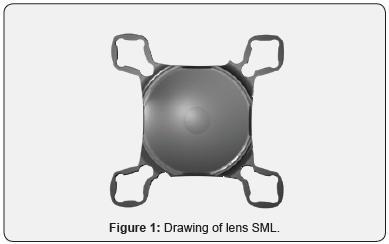 Click here to view Large Figure 1