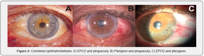 Click here to view Large Figure 2