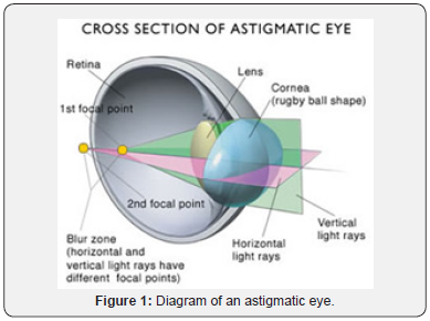 Click here to view Large Figure 1