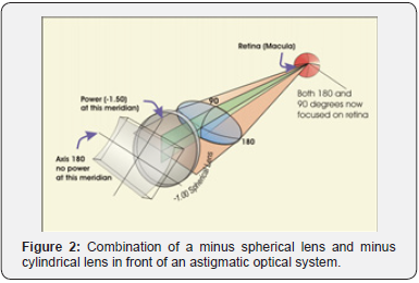 Click here to view Large Figure 2