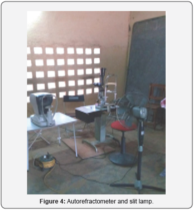 Click here to view Large Figure 4