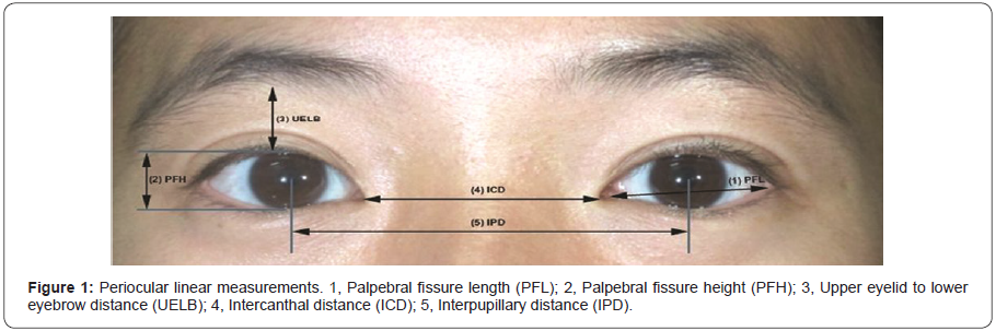 Click here to view Large Figure 1