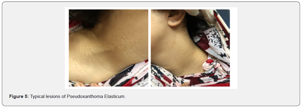 Click here to view Large Figure 5