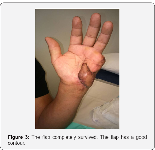 Click here to view Large Figure 3