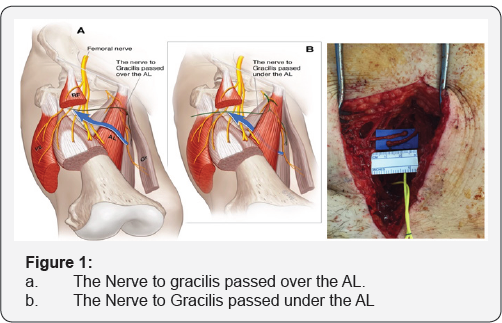 Click here to view Large Figure 1