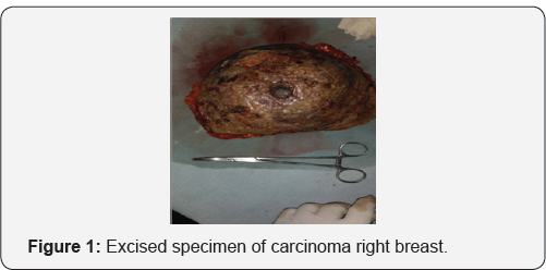 Click here to view Large Figure 1