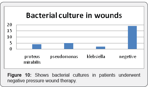 Click here to view Large Figure 10