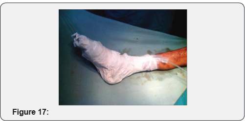 Click here to view Large Figure 17