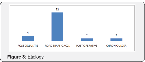 Click here to view Large Figure 3