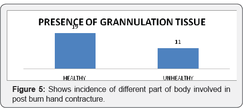 Click here to view Large Figure 5