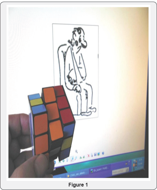 Click here to view Large Figure 1